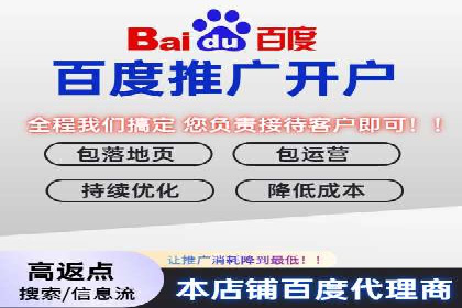 百度推广返点攻略：成功案例分享与启示